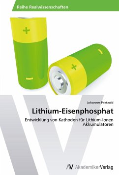 Lithium-Eisenphosphat - Paetzold, Johannes