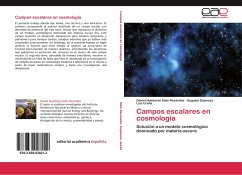 Campos escalares en cosmología - Solís Recéndez, Daniel Humberto;Espinoza, Augusto;Ureña, Luis