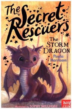 The Secret Rescuers: The Storm Dragon - Harrison, Paula