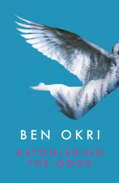 Astonishing the Gods - Okri, Ben