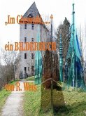 "Im Glaswald..." (eBook, ePUB)