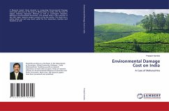 Environmental Damage Cost on India