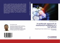 A multiscale approach to mechanical modeling of a leaf petiole - Faisal, Tanvir Rahman