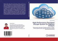 High-Performance Persistent Storage System for BigData Analysis - Saxena, Piyush