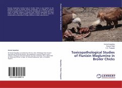 Toxicopathological Studies of Flunixin Meglumine in Broiler Chicks