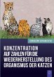 Konzentration auf Zahlen für die... - Bild 1