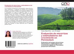 Evaluación de micorrizas y estimuladores del crecimiento en Pennisetum