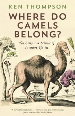 Where Do Camels Belong? - Thompson, Ken