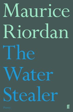 The Water Stealer - Riordan, Maurice