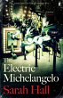 The Electric Michelangelo - Bild 1