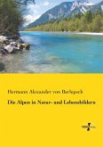 Die Alpen in Natur- und Lebensbildern