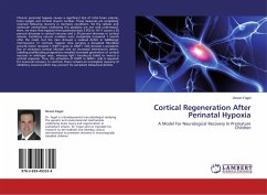 Cortical Regeneration After Perinatal Hypoxia