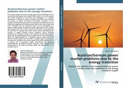 Austrian/German power market problems due to the energy transition - Viehhauser, Martin