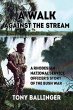 A Walk Against the Stream - Bild 1