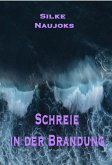 Schreie in der Brandung (eBook, ePUB)