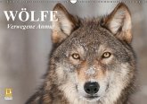 Wölfe. Verwegene Anmut (Wandkalender immerwährend DIN A3 quer) Wölfe. Verwegene Anmut (Wandkalender immerwährend DIN A3 quer)