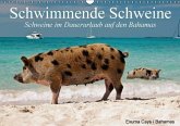 Schwimmende Schweine / Geburtstagskalender (Wandkalender immerwährend DIN A3 quer)