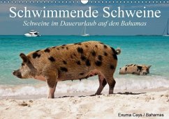 Schwimmende Schweine / Geburtstagskalender (Wandkalender immerwährend DIN A3 quer) - Stanzer, Elisabeth