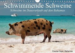 Schwimmende Schweine / Geburtstagskalender (Wandkalender immerwährend DIN A4 quer) - Stanzer, Elisabeth