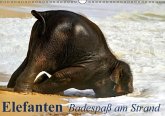 Elefanten - Badespaß am Strand (Wandkalender immerwährend DIN A3 quer)