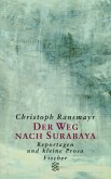 Der Weg nach Surabaya (eBook, ePUB)