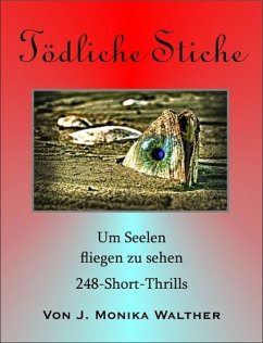 Tödliche Stiche (eBook, ePUB) - Walther, J. Monika