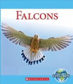 Falcons