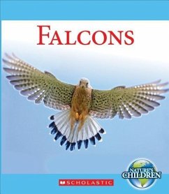 Falcons - Marsico, Katie