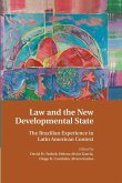 Law and the New Developmental State