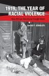 1919, The Year of Racial Violence - Bild 1