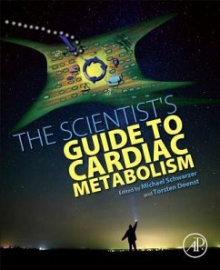 The Scientist's Guide to Cardiac Metabolism