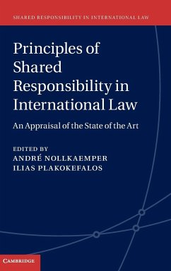 Principles of Shared Responsibility in International Law