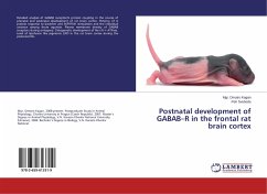 Postnatal development of GABAB¿R in the frontal rat brain cortex