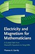 Electricity and Magnetism for... - Bild 1