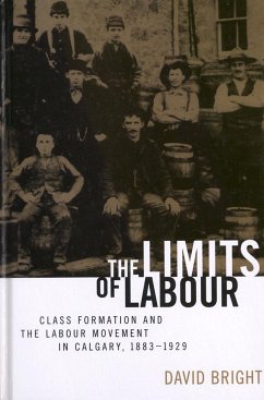 The Limits of Labour - Bright, David