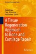 A Tissue Regeneration Approach to Bone... - Bild 1