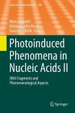 Photoinduced Phenomena in Nucleic Acids II