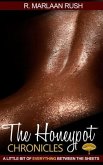 Honeypot Chronicles (eBook, ePUB)