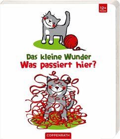 Das kleine Wunder - Was passiert hier? - Taube, Anna;Taddicken, Maike