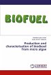 Production and characterisation of... - Bild 1