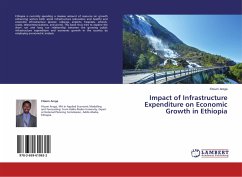 Impact of Infrastructure Expenditure on Economic Growth in Ethiopia - Arega, Fitsum