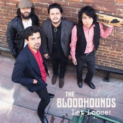 Cover Let Loose!