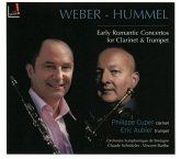 Frühe Romantische Konzerte