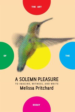 A Solemn Pleasure: To Imagine, Witness, and Write - Pritchard, Melissa
