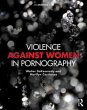 Violence against Women in Pornography - Bild 1