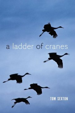 A Ladder of Cranes - Sexton, Tom