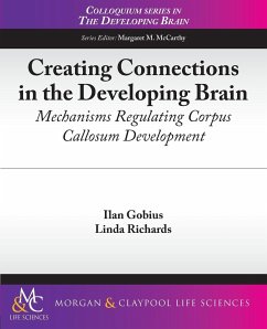 Creating Connections in the Developing Brain - Gobius, Ilan; Richards, Linda
