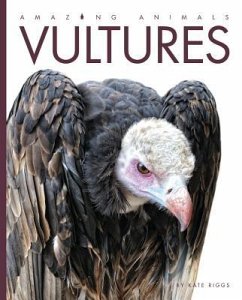 Amazing Animals Vultures - Riggs, Kate