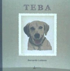 Cover Teba