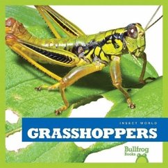 Grasshoppers - Schuh, Mari C